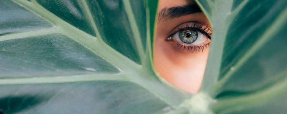 drew-dizzy-graham-cTKGZJTMJQU-unsplash